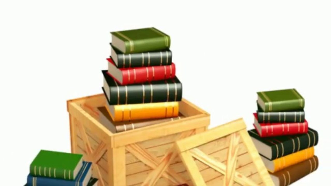 Manassas Twins Moving Company (703) 997-9194