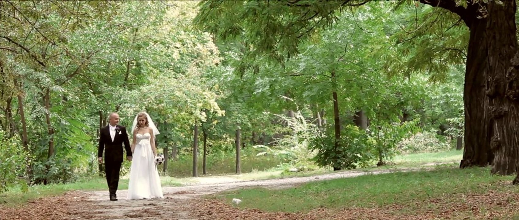 Александр и Оля ( свадебный клип)