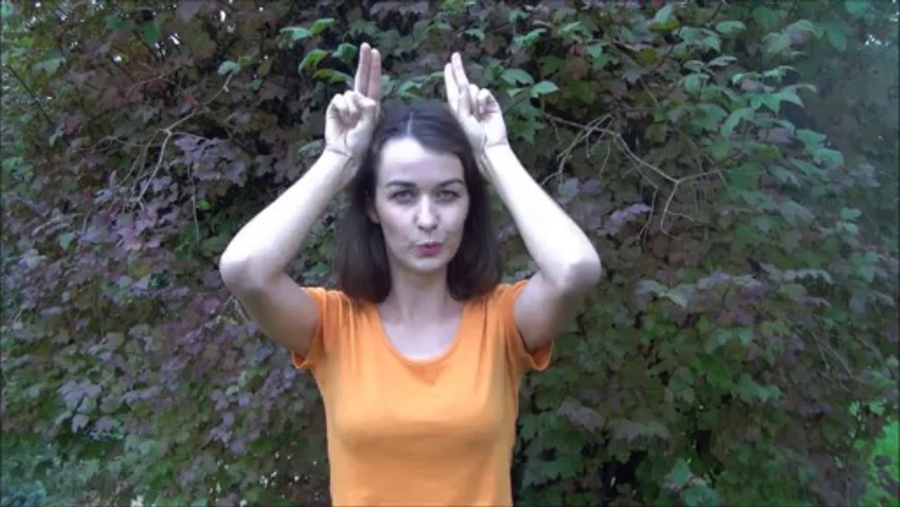 Hou hou fait la hibou