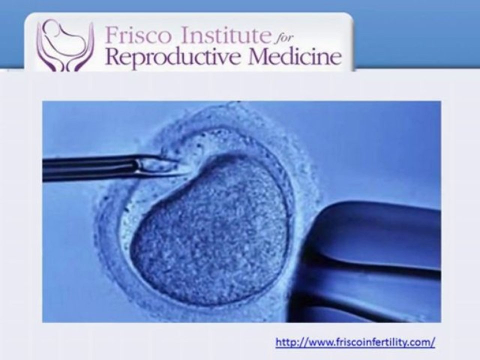 Risks And Remedies For Infertility Problems