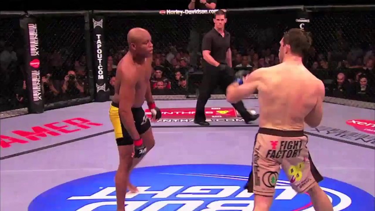 Top 8 Highlights of the Year