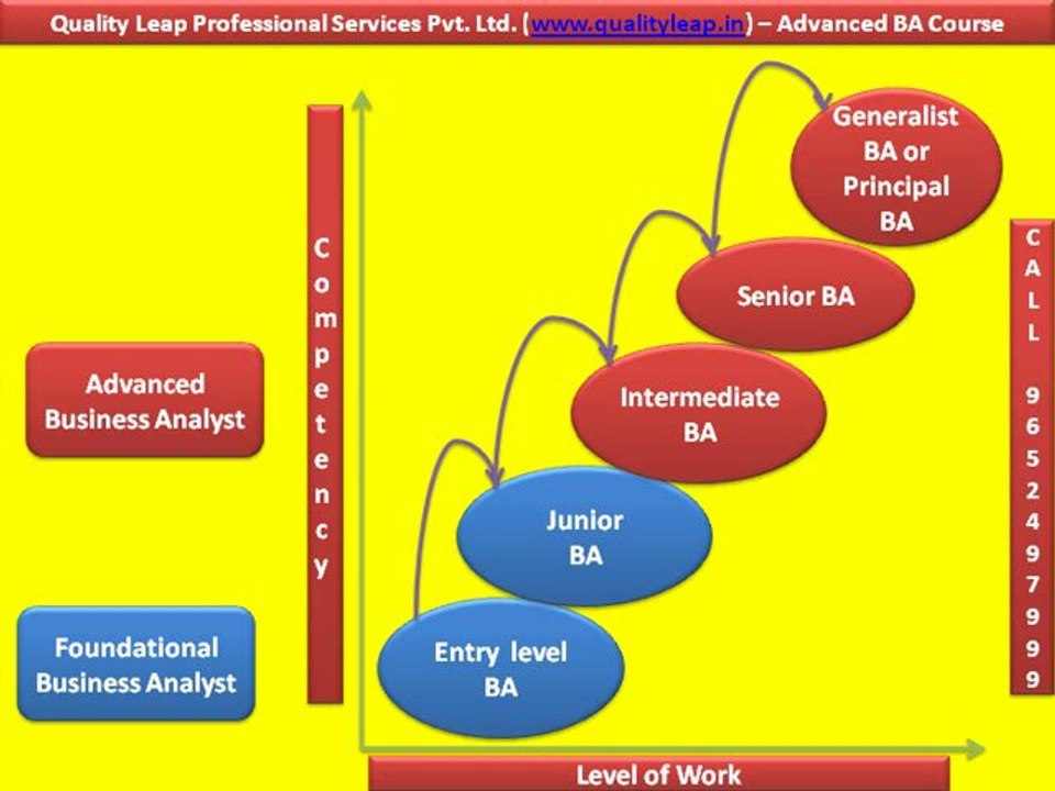 Advanced Business Analyst