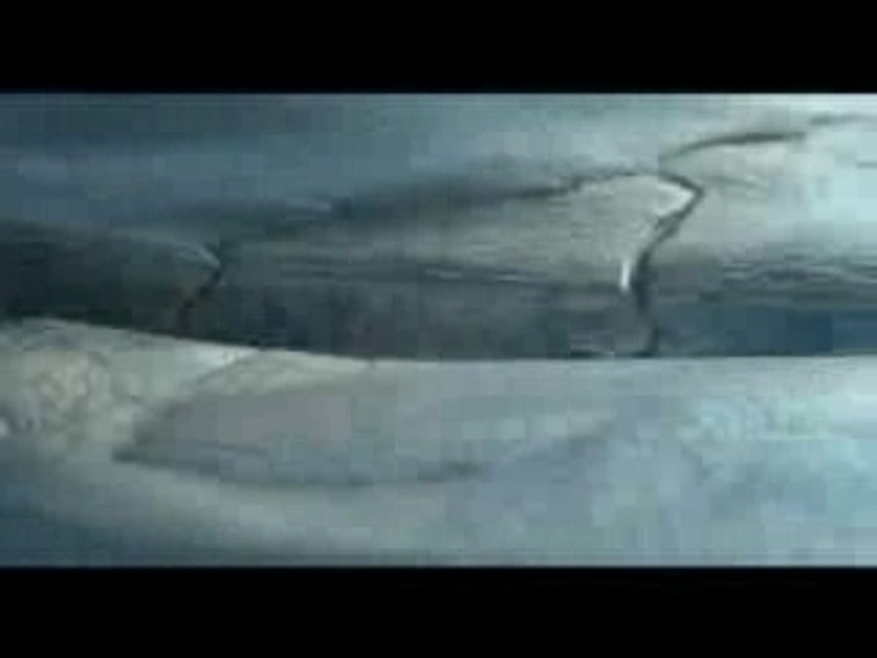 Afflelou Protect: Vision Assistance 😎