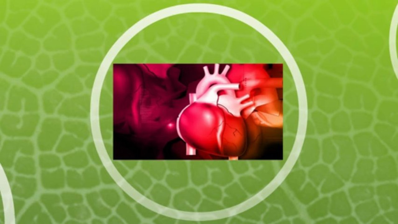 What Are Palpitations? 🫀