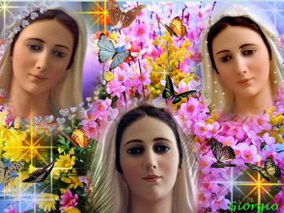 PAPA FRANCISCO PAPA FRANCESCO