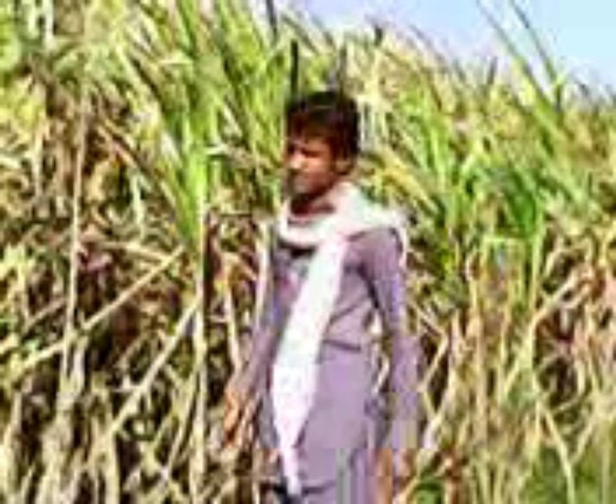 NASEEB AHMED KHAN JATOI