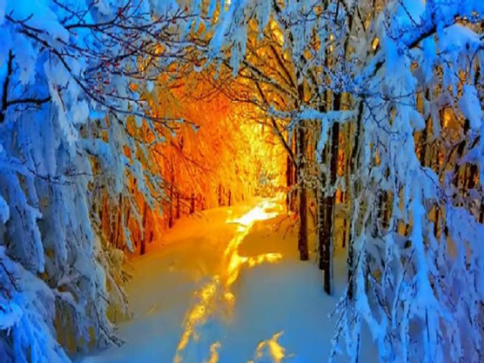 Top Music Videos of All Time 🎶