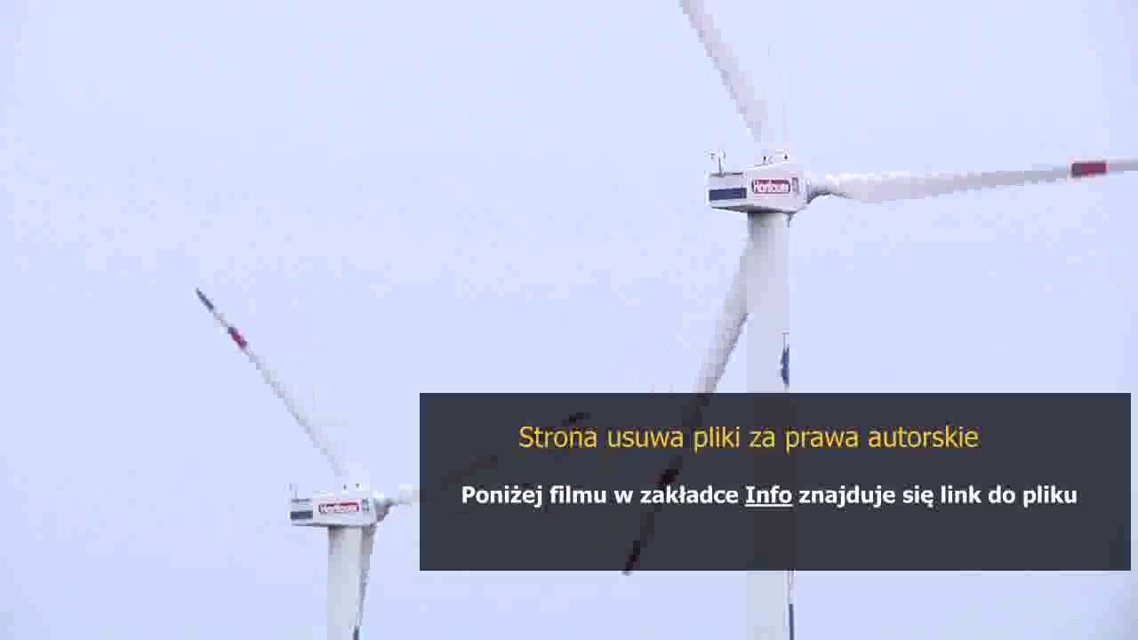 poradnik dla druida pacc