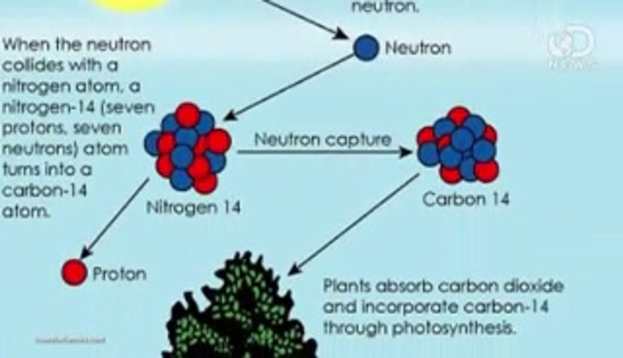 What is carbon dating?
