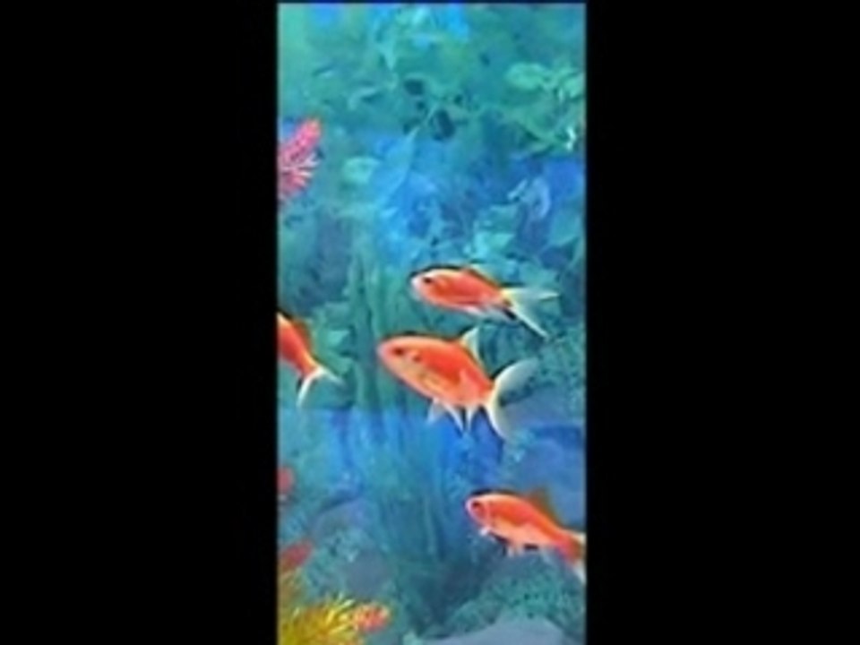 Spectacle Palindrome