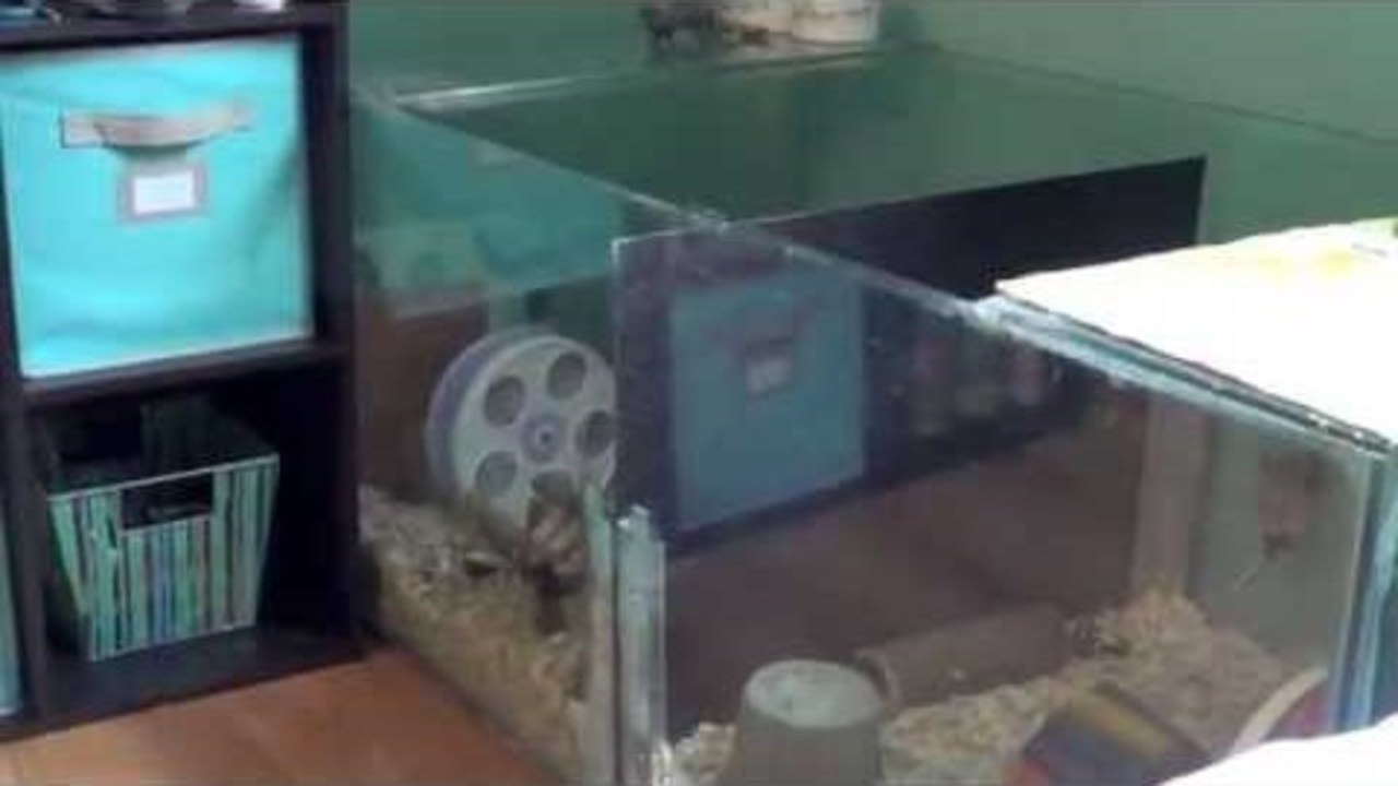 Velcro Vlog? | vlogs