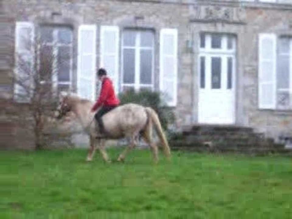 Moi sur Stan & Zazou sur Olympic