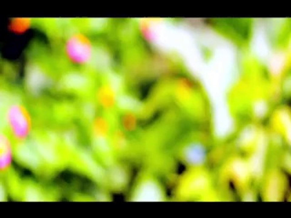 Khola Janala -Tahsin Ahmed