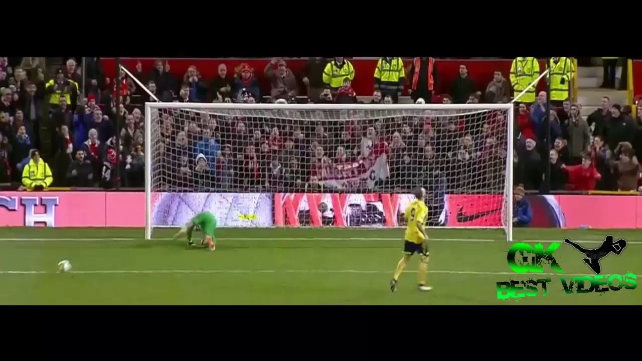 David de Gea - Best Saves 2014 |HD|