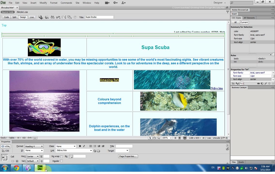 une 2009 Question Paper 3 (webdesign) nick