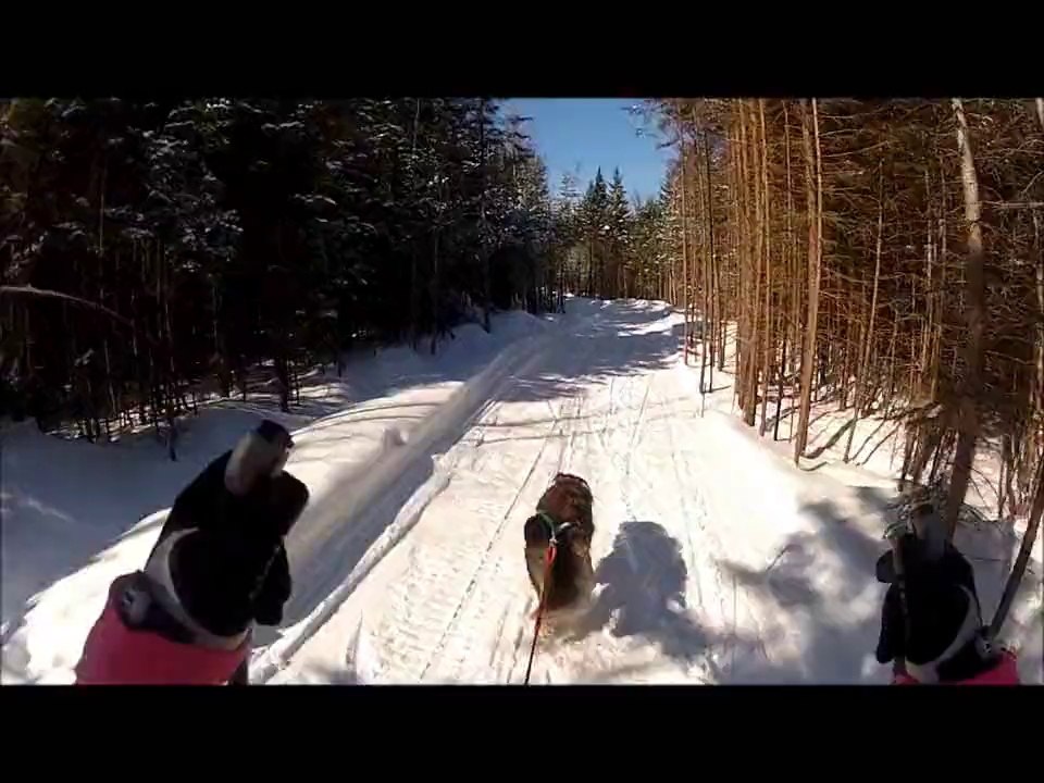 Party Mix: Amateurs de Sports Tractés 🎉