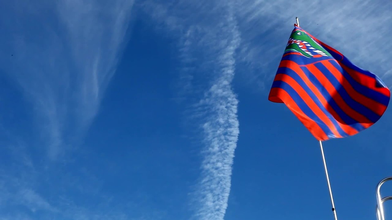 The Art of the Tailgate