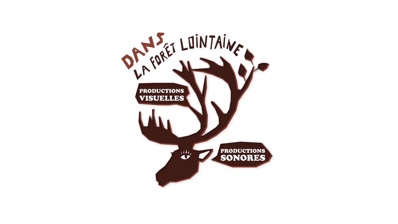 Dans la forêt lointaine, productions visuelles et sonores.