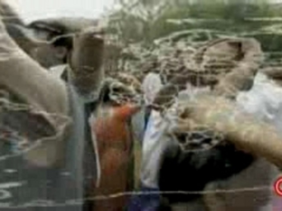 Laughter Club - Laughter Yoga