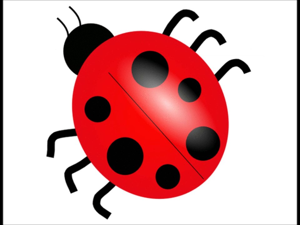 Learn Colors for Kids 🎨