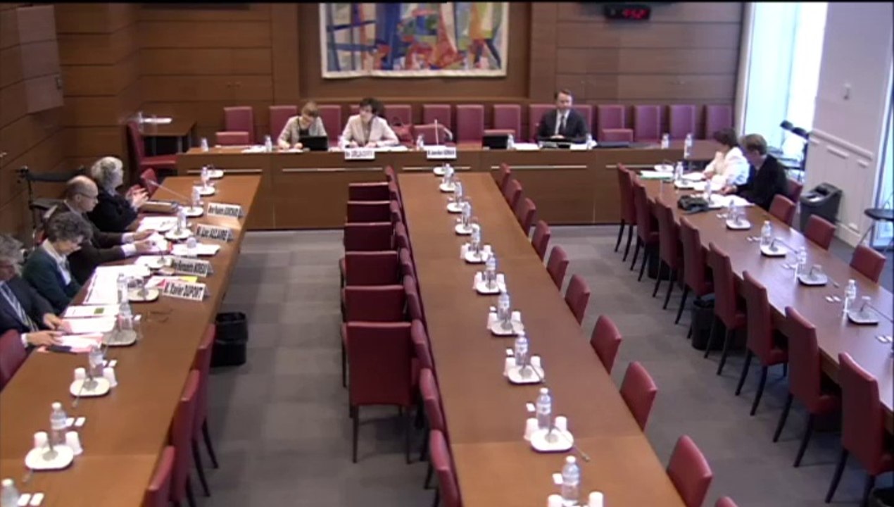 Audition de Mme Paulette Guinchard, pdte CNSA - Jeudi 17 Avril 2014