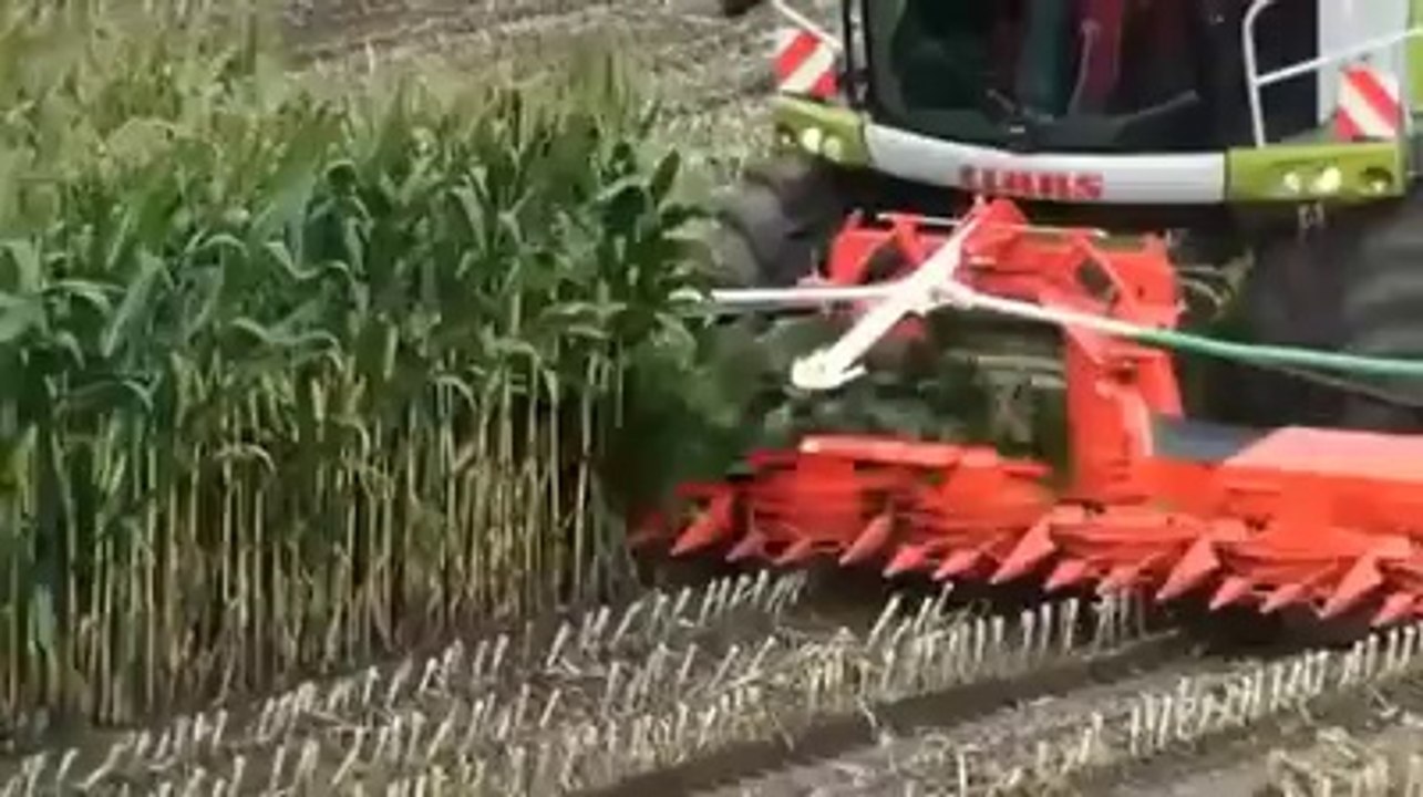 Machine Designed to Cut Crops