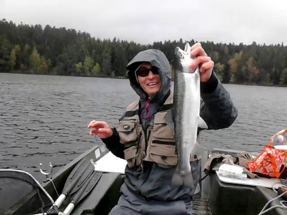 ARC JP: Your Trusted Japanese Language Partner