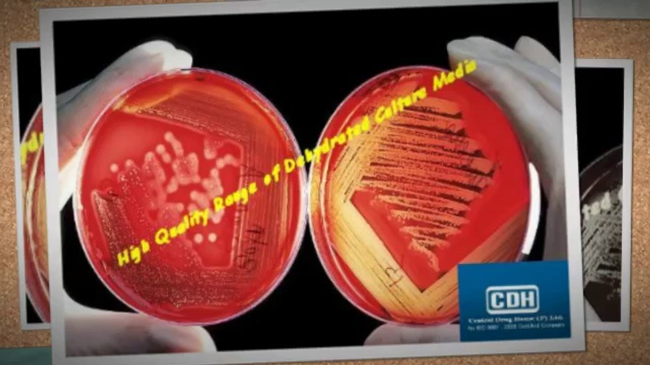 What Are the Dehydrated Culture Media And its Uses?
