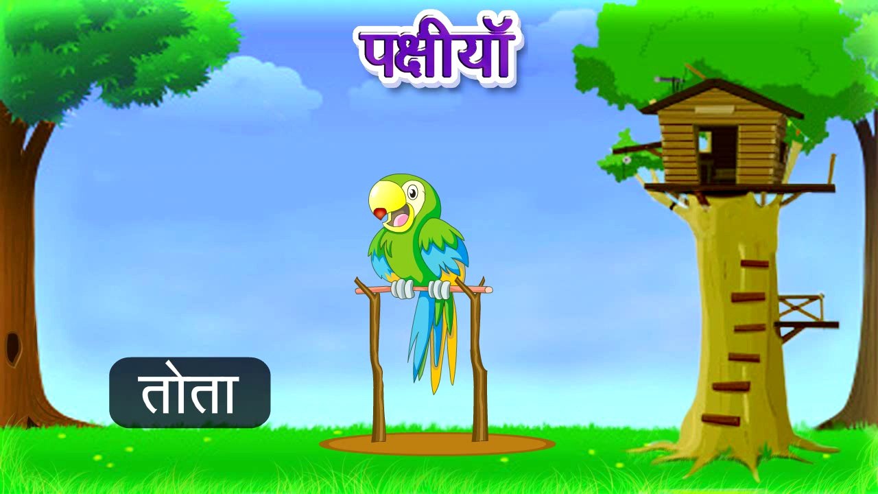Types of Birds | Animated Video For Kids | Hindi Animation Video