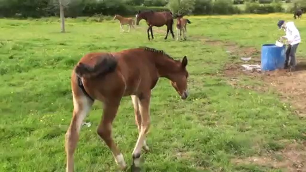 ELLISA QUEEN AVEC SA MERE RIKITA BELLA