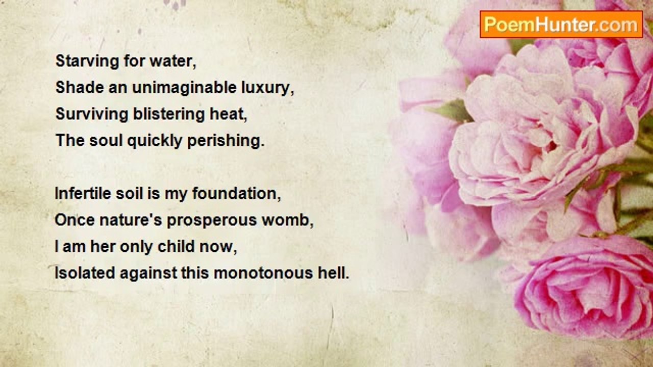 Ash Trees - Desert Tree