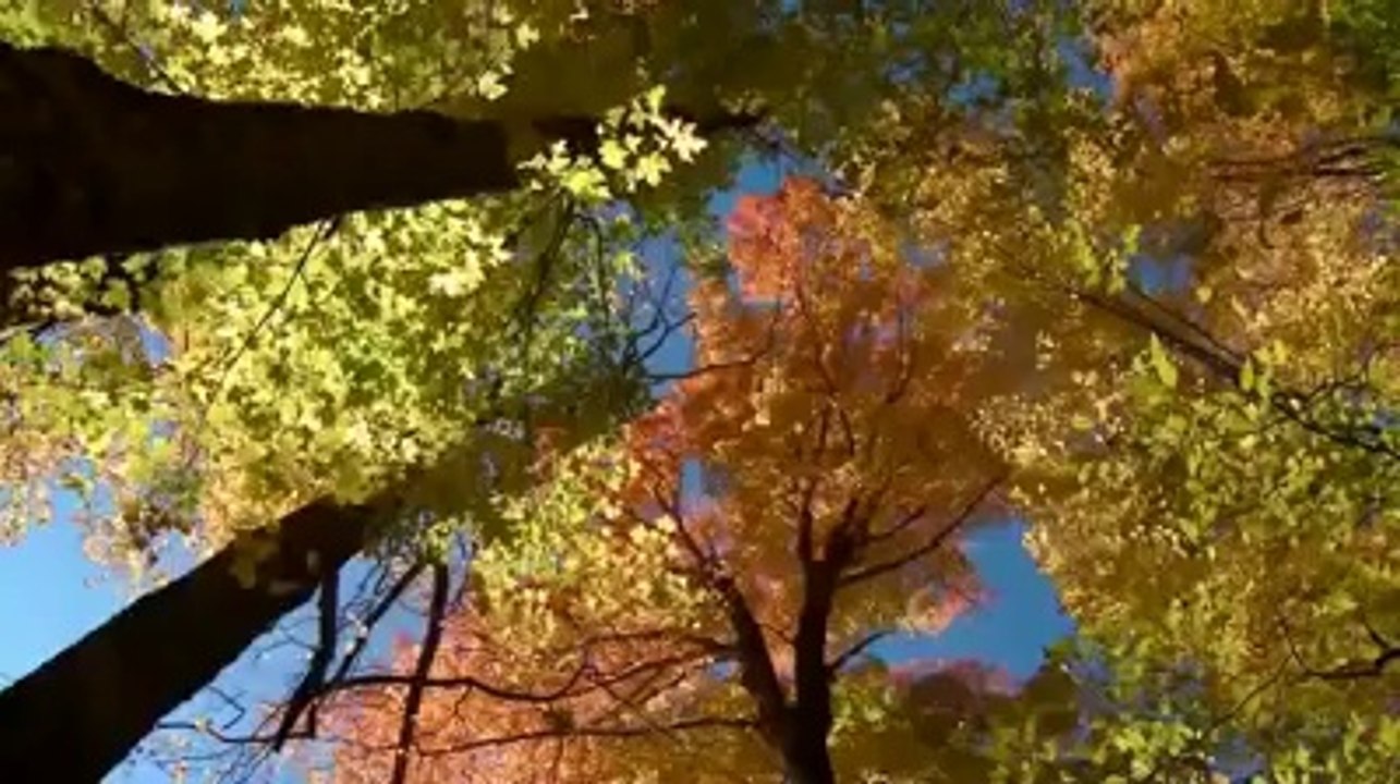 Naat of Junaid Jamshaid