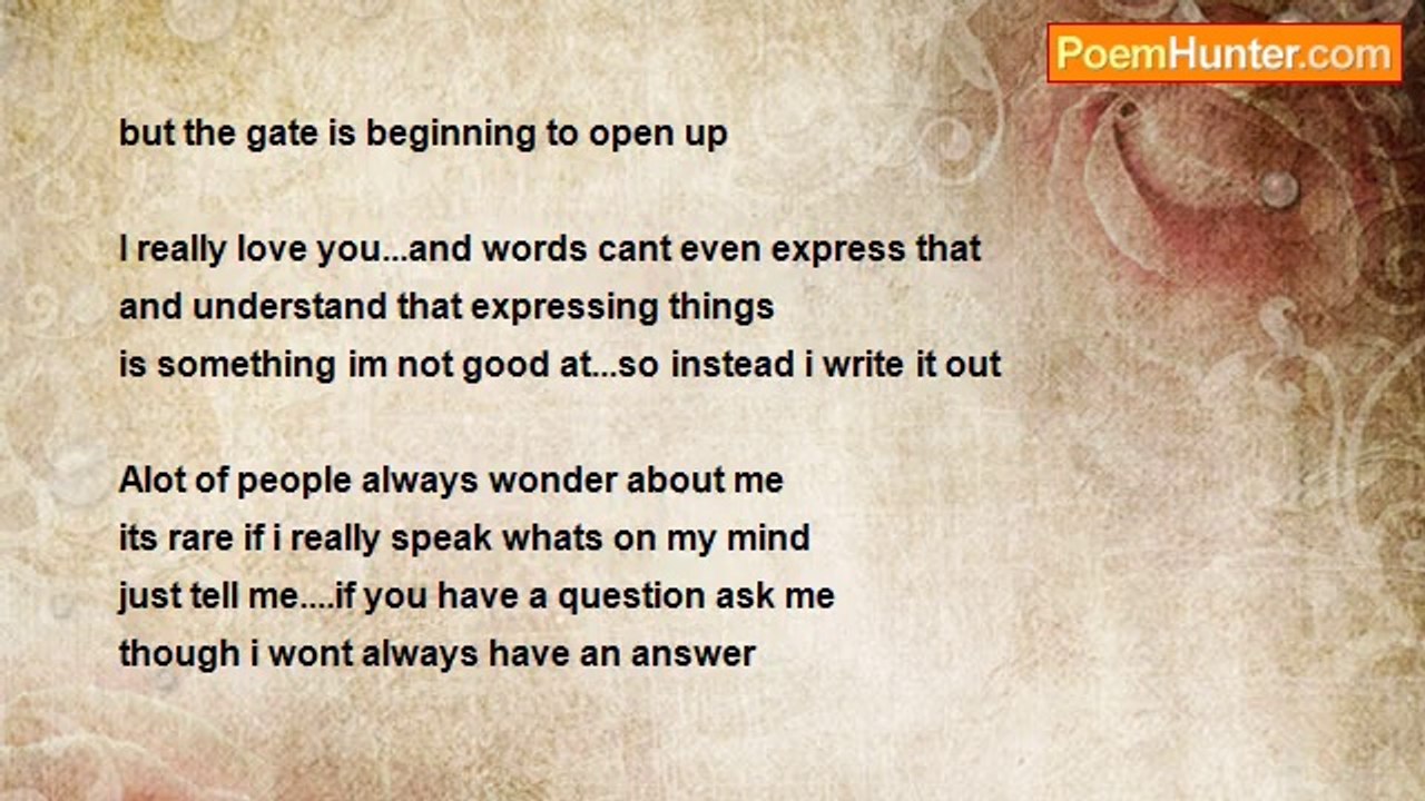 iron panda 23 - I really do love you