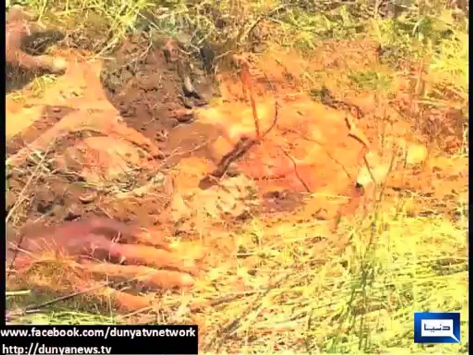 What is Zarb e AZB operation? Details