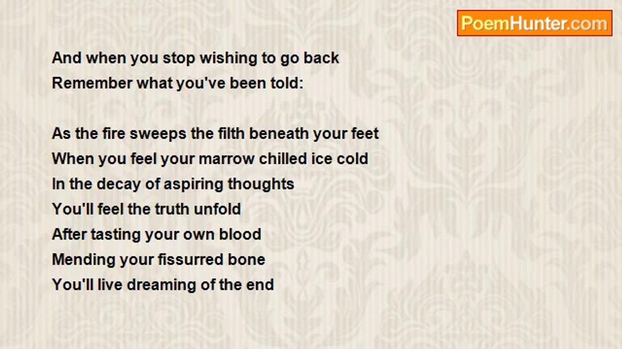 Hasan Haskovic - Where Never meets Forever