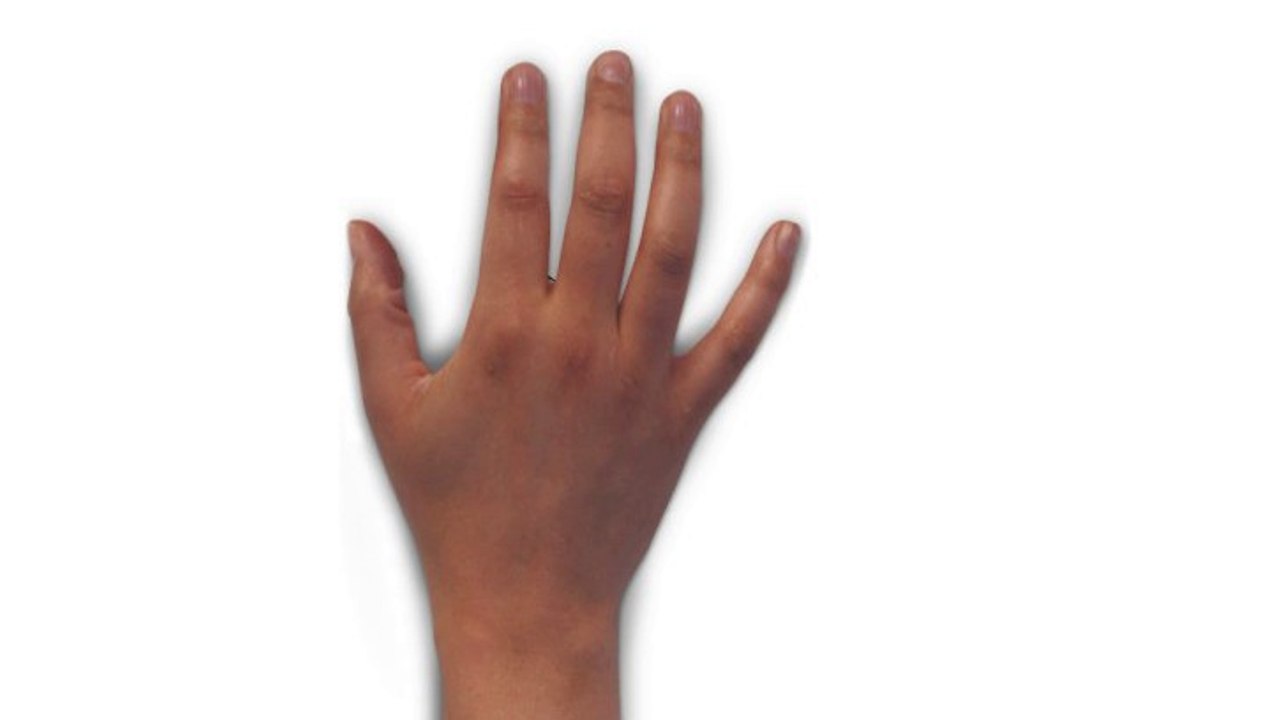 Legacy Planning 101 Basics