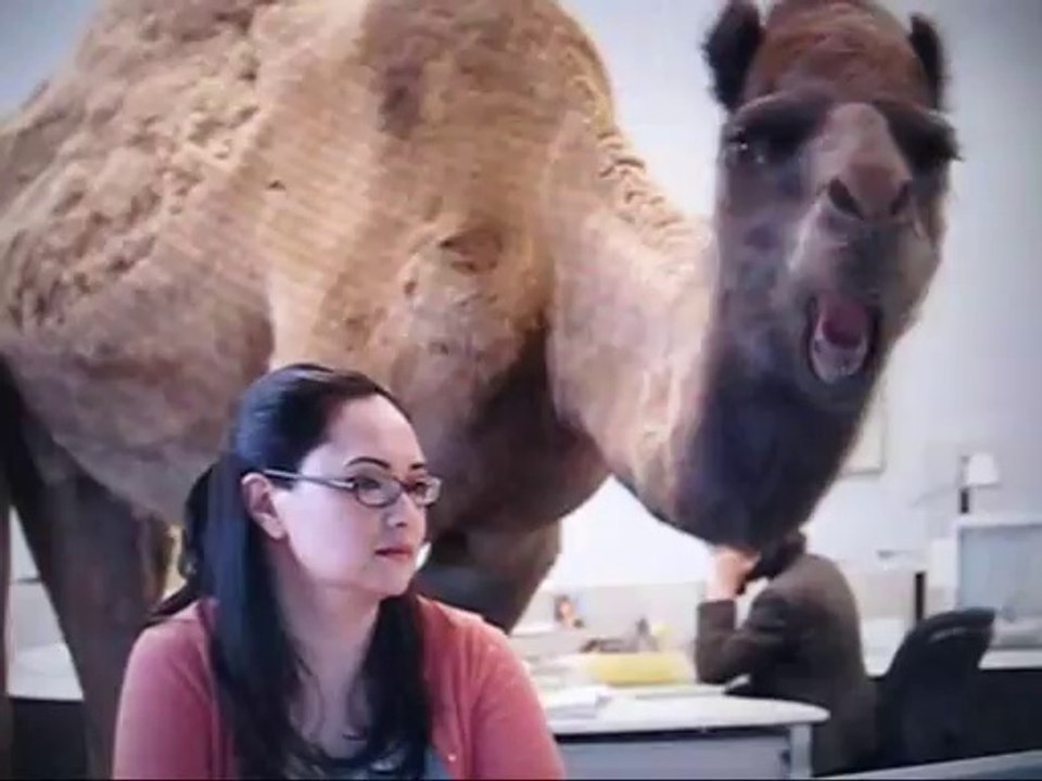 Guess What Day It Is