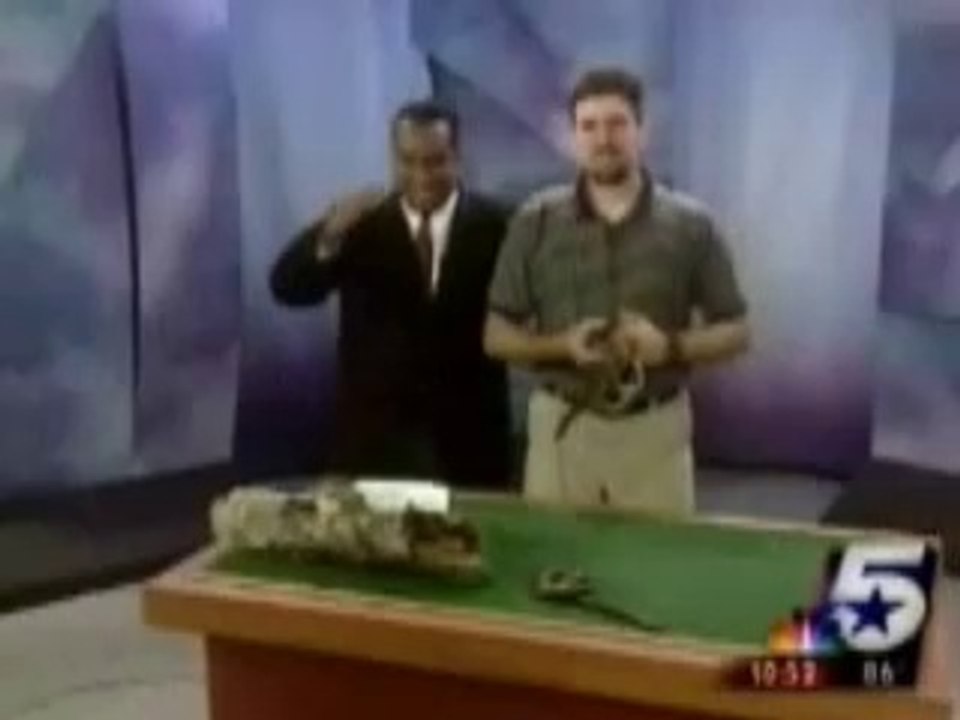 reptileattackfunny clip  funny clip