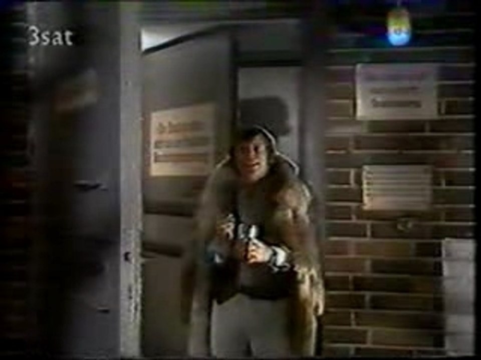 Reinhard Mey - Gute Nacht Freunde