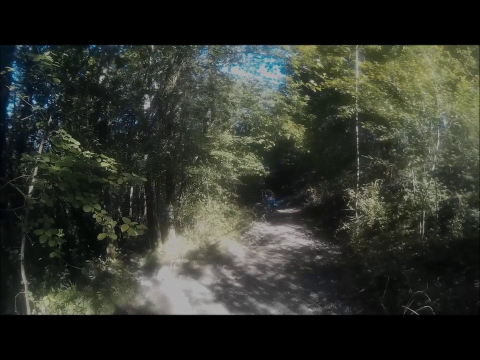 PALMERAKUAK MBT Kakitxurra