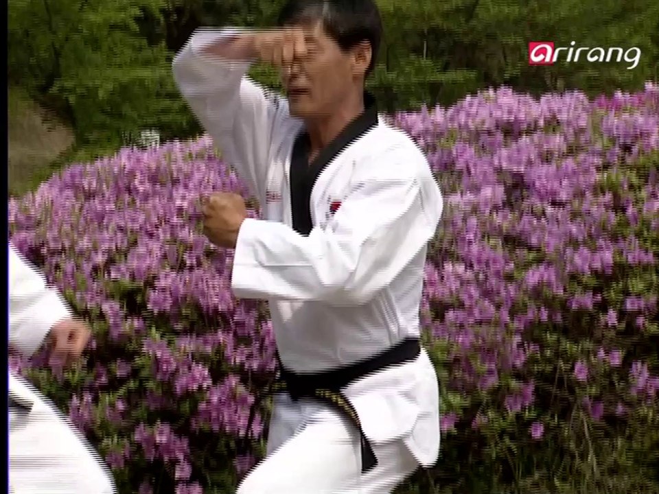 Taekwondo Step by Step Ep017
