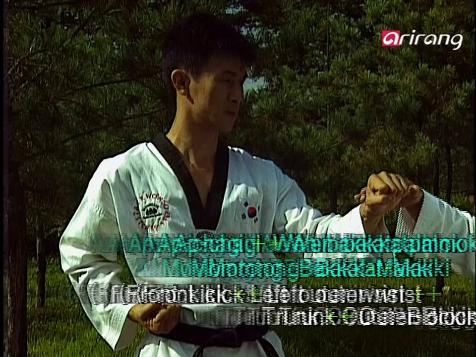 Taekwondo Step by Step Ep133