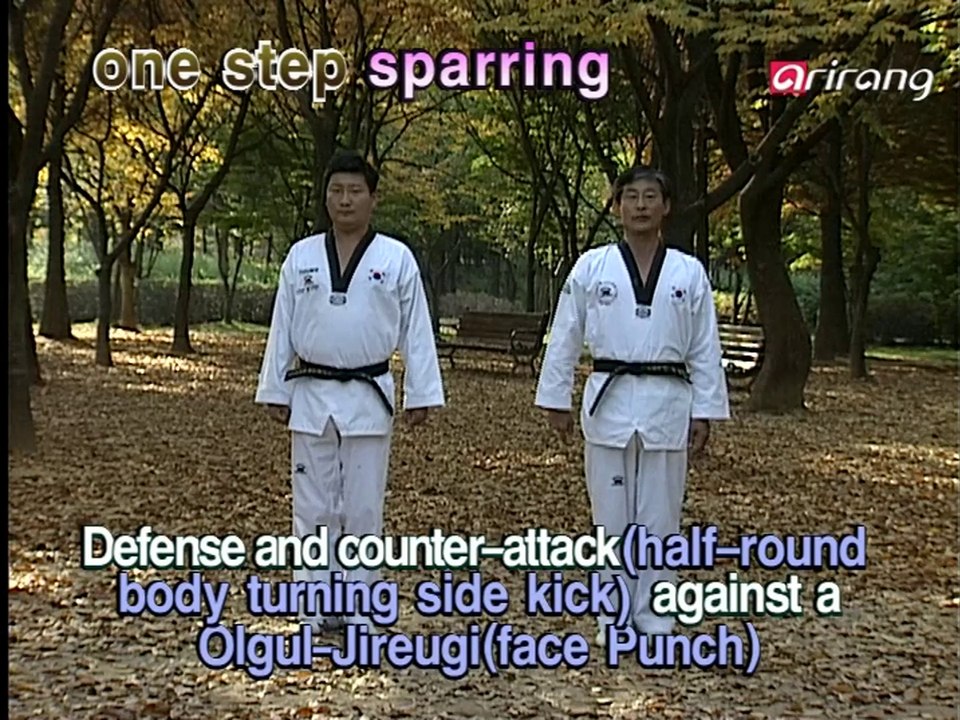 Taekwondo Step by Step Episode 178: Taegeuk 7 Jang - Right Foot Half-Body Turning Kick