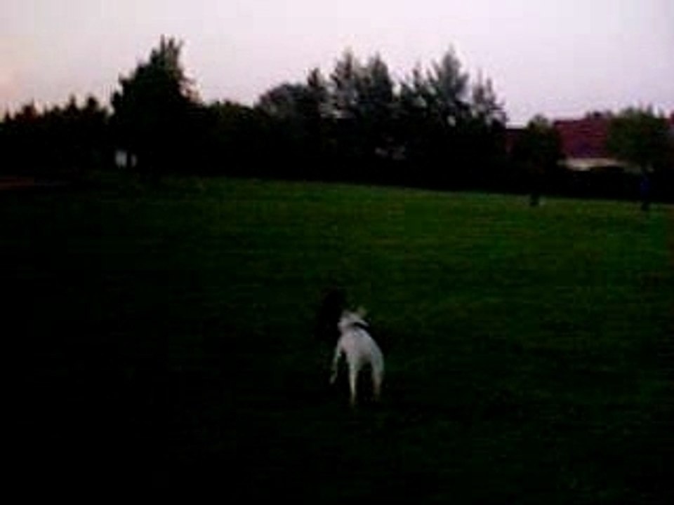 Karim and Wlad Lwahda 🤝