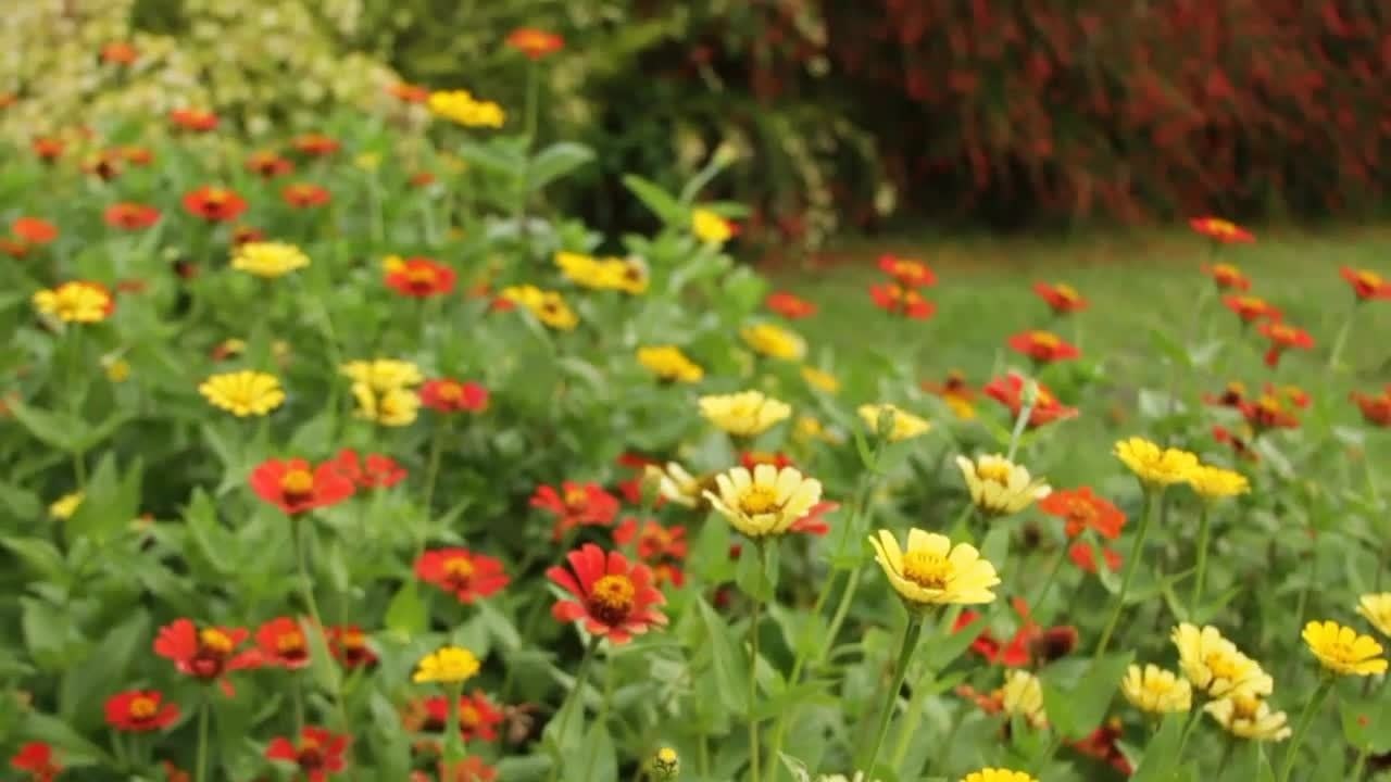 Tobago Watch and Win