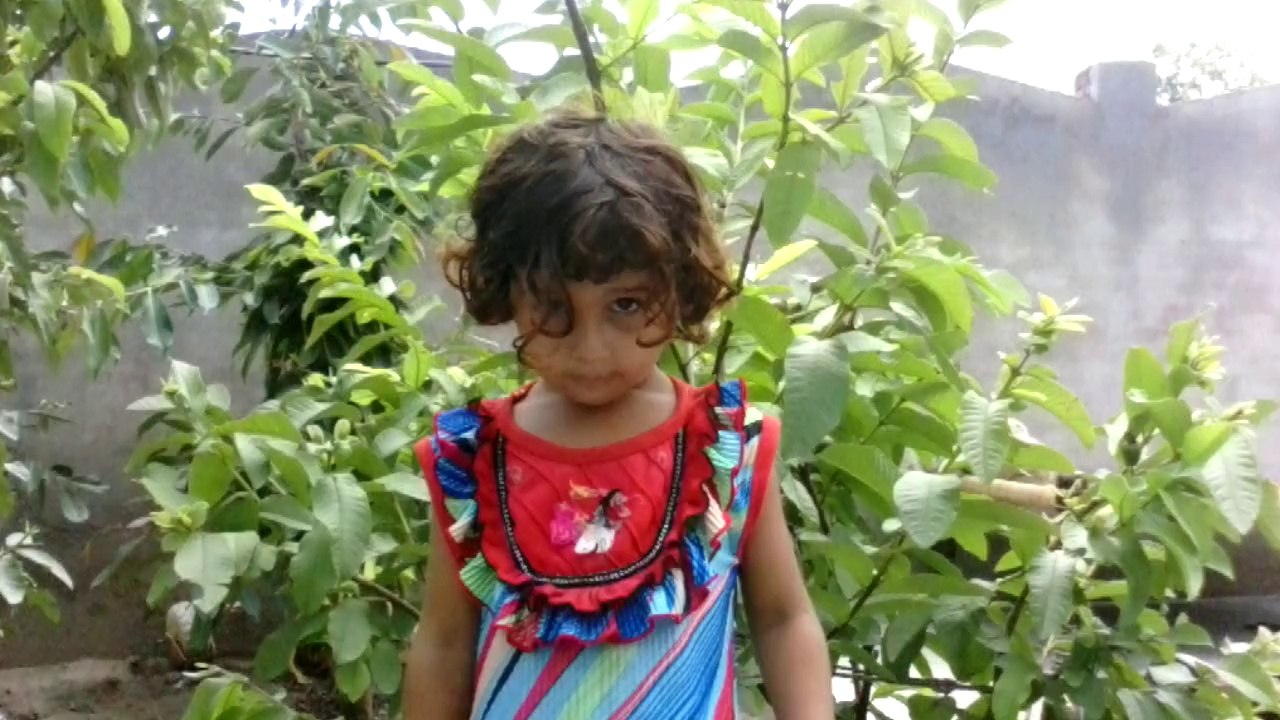 phullo chirag shah hafizabad 24