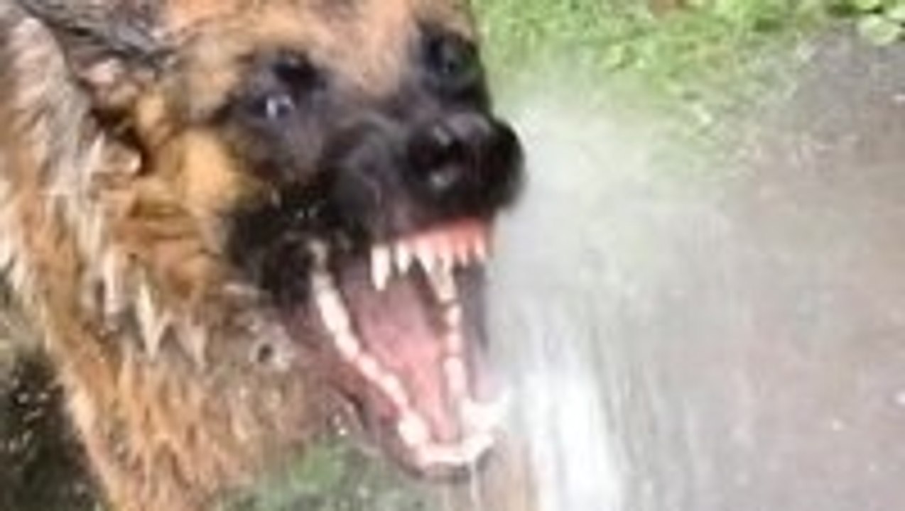 Watering the garden is difficult