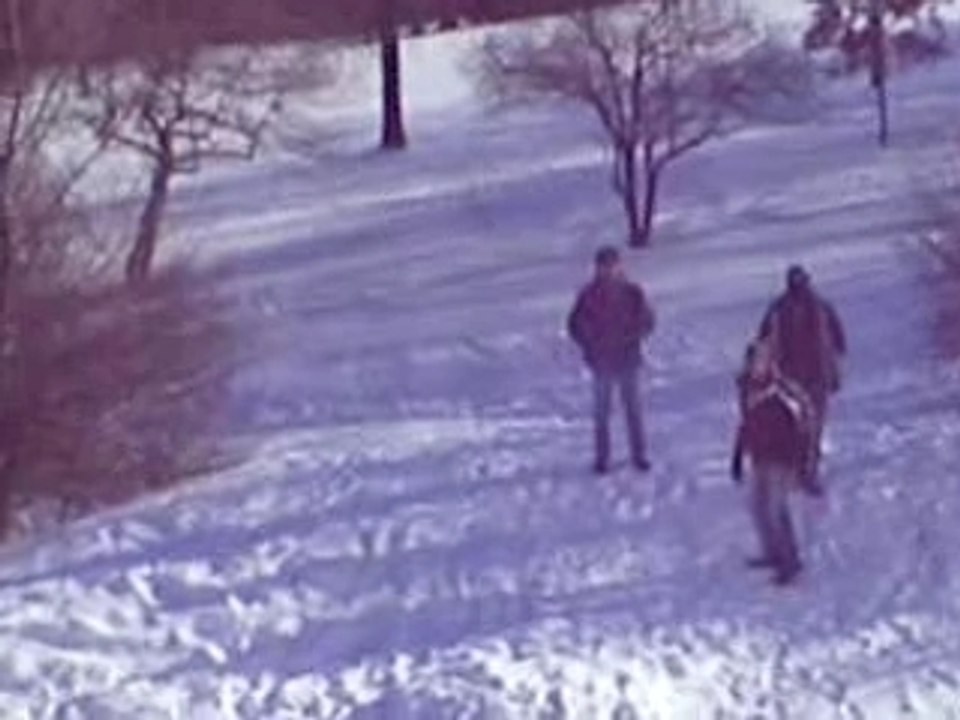 Glissades sur les Plaines