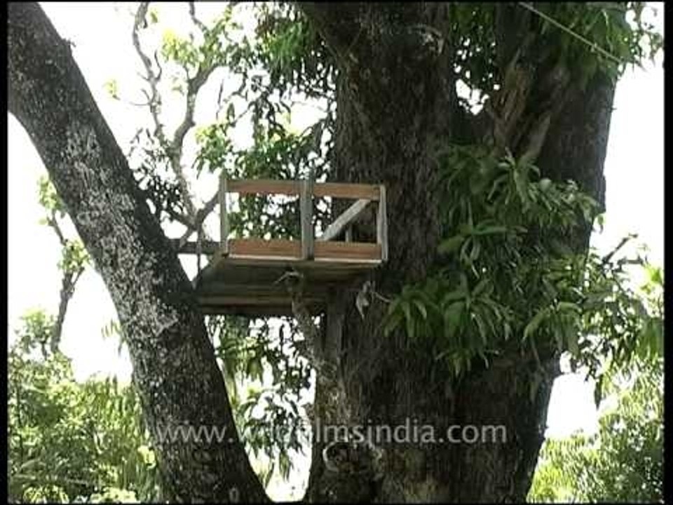 Exact spot where Man-eating leopard of Rudraprayag was killed