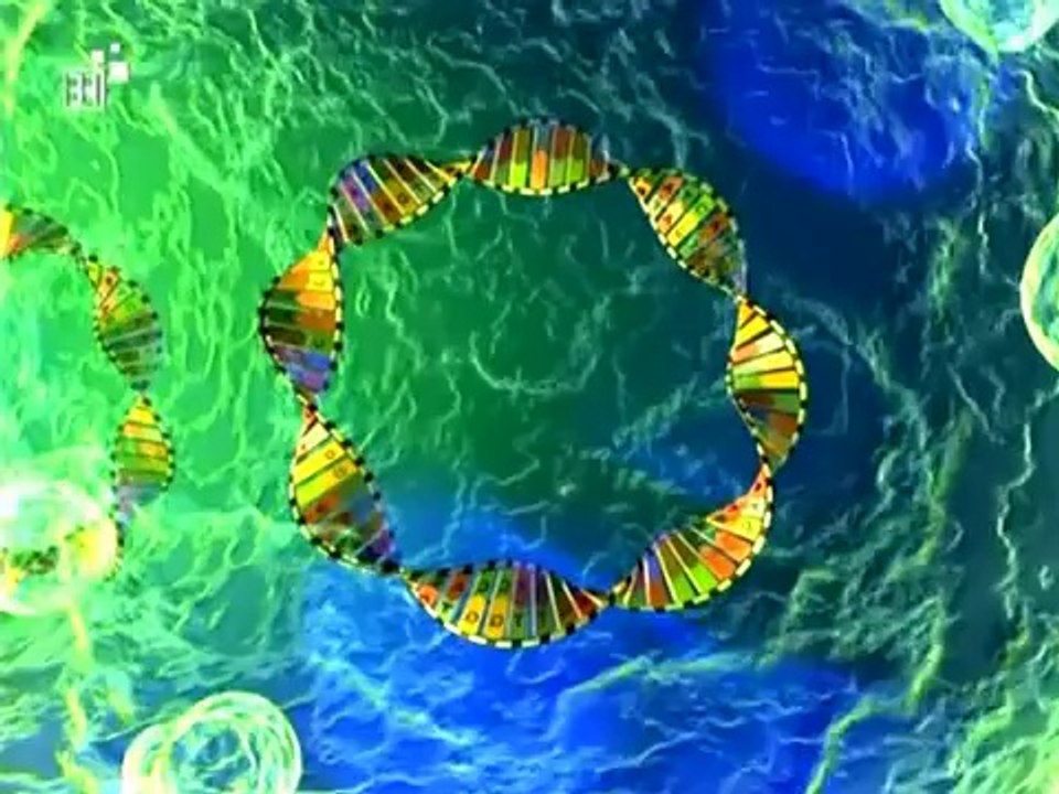 Biologie - 10. Grundlagen der Gentechnik